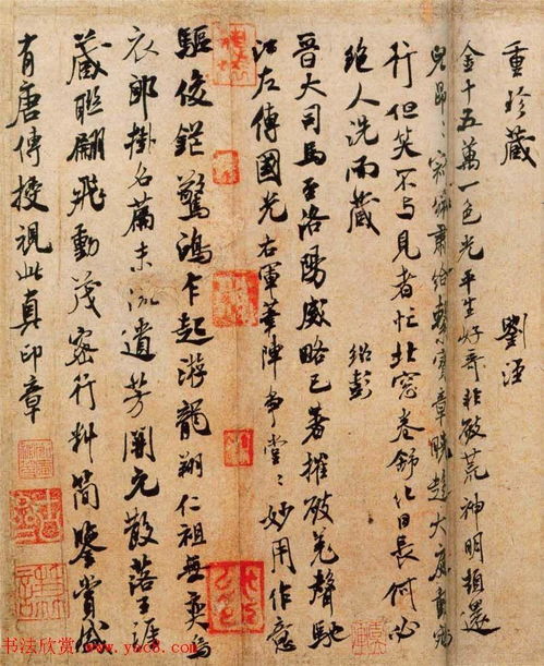 狂草症之狂草第一季，揭秘狂草症的神秘世界和剧情发展--第1张