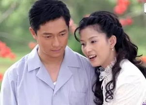相错亲嫁对人，短剧全集剧情介绍--第1张
