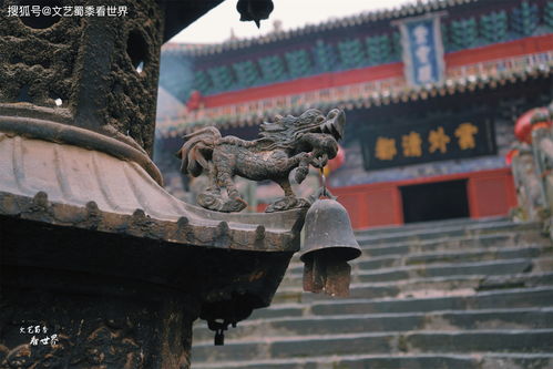 似佳人什么意思 似是佳人来短剧全集资讯剧情 --第1张