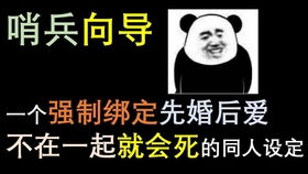 小宝寻亲记，小宝寻妻记短剧全集资讯剧情揭秘--第1张