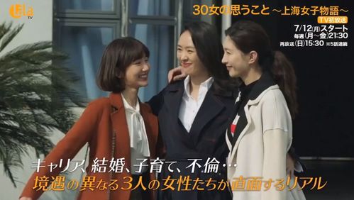 许总的天价罪妻，全集剧情简介 电视剧角色介绍--第1张
