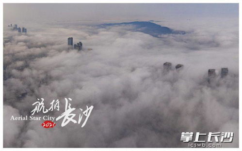 不负云意短剧全集资讯剧情 不负云深 --第1张