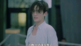 来不及爱你全集剧情简介--第1张