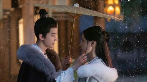 东栏雪短剧全集资讯，剧情简介--第1张