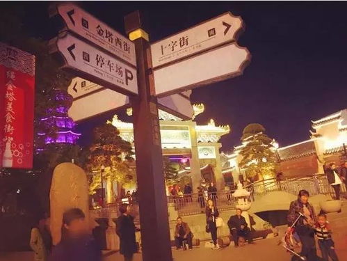 洪城之城，短剧全集剧情解析与主宰的挑战--第1张