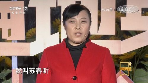 为母则刚短剧全集资讯剧情 为母则刚下一句是什么? --第1张