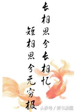 入骨相思他不知，全集资讯与剧情解析--第1张