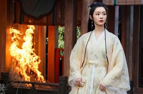 短剧赘婿大结局_电视赘婿结局介绍--第1张