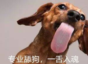 不当舔狗后老公急哭了，剧情紧凑的短剧全集资讯--第1张
