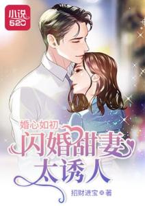 闪婚甜妻美又飒大结局，已上线剧情介绍--第1张