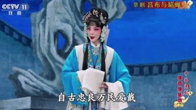 嫁给植物人后醒了免费阅读 嫁给植物人王爷后她大杀四方短剧大结局 --第1张