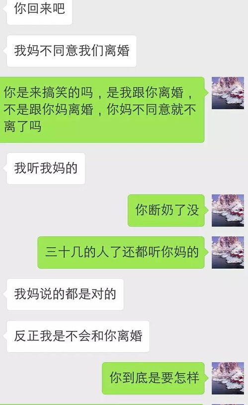 离婚后带孩子回国总裁系列 离婚后带娃绚丽回归短剧大结局 --第1张