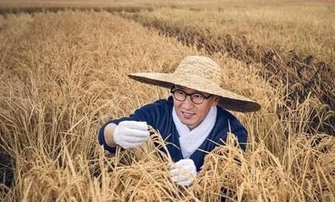 种地也能成首富，致富之路大结局--第1张