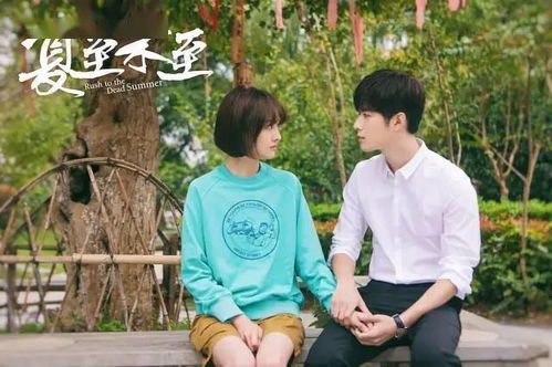 娱乐天王短剧大结局免费观看，全集在线观看--第1张