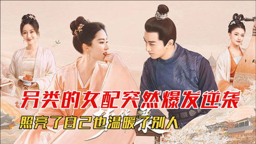 我的逆袭人生之赚钱秘籍，短剧大结局--第1张