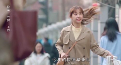 尘埃里的光短剧大结局 尘埃里的光芒 --第1张