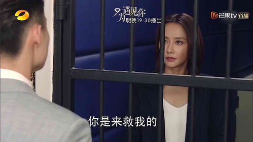 圈爱成瘾战爷别虐了夫人她是被冤枉的短剧大结局  --第1张