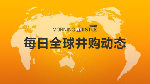 一百块收购全世界短剧大结局，财富与创意的碰撞--第1张