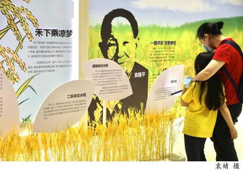 从今天开始买遍全球短剧大结局 从今天开始去挣钱小说 --第1张