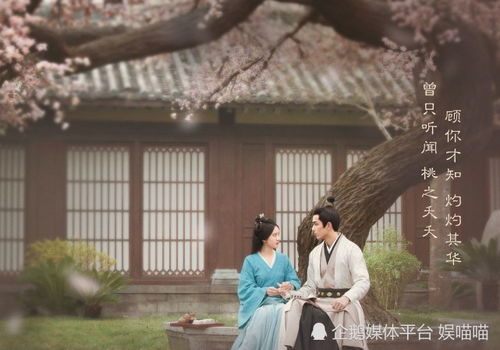 弃少姓叶小说，叶家弃少短剧大结局--第1张