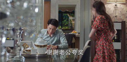 陆总住手吧你虐错夫人了短剧大结局 陆总别虐了夫人才是你的白月光小说免费阅读 --第1张
