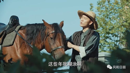 骏马无敌短剧大结局 骏马无敌短剧大结局在线观看 --第1张