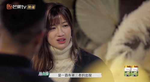离婚后傅总要倒贴，傅总夫人又闹离婚了大结局--第1张