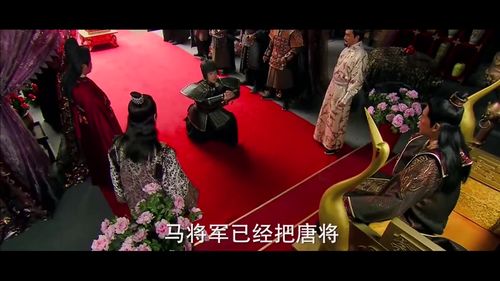 我的野蛮女将军短剧大结局免费观看 我的野蛮女将军短剧大结局 --第1张