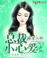 总裁追妻火葬场，惹上总裁别想逃大结局--第1张