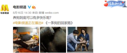 爱你绝非临时起意短剧大结局视频 爱你绝非临时起意短剧大结局 --第1张