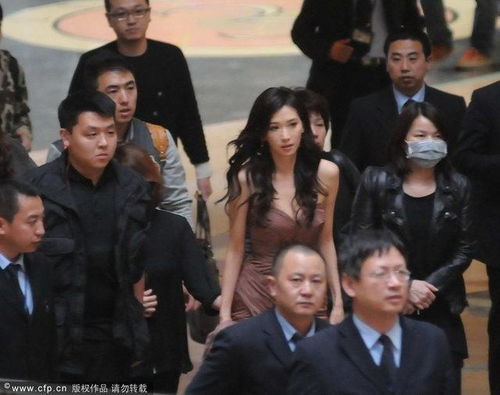 保安老爸傲视群雄大结局，胜利时刻--第1张