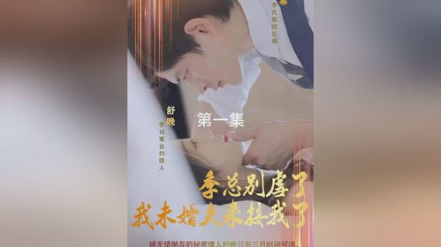 季总别虐了，我未婚夫来接我了！大结局--第1张