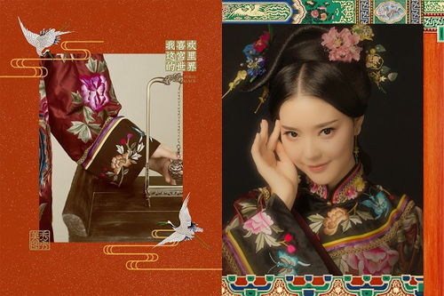 帝都女皇短剧大结局 帝都女皇短剧大结局在线观看 --第1张