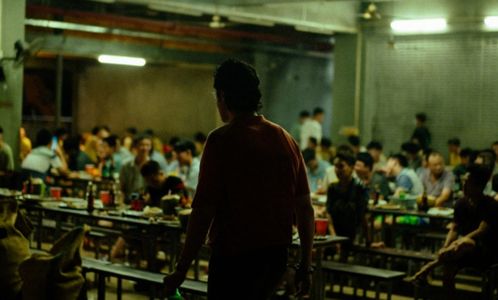 孤注一掷之无路可逃短剧大结局，梅姐与男主角的命运走向--第1张