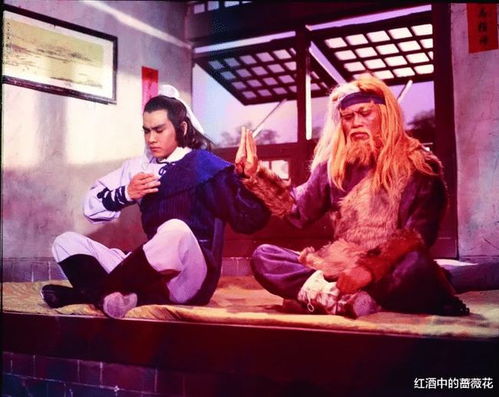 屠龙短剧大结局视频合集--第1张