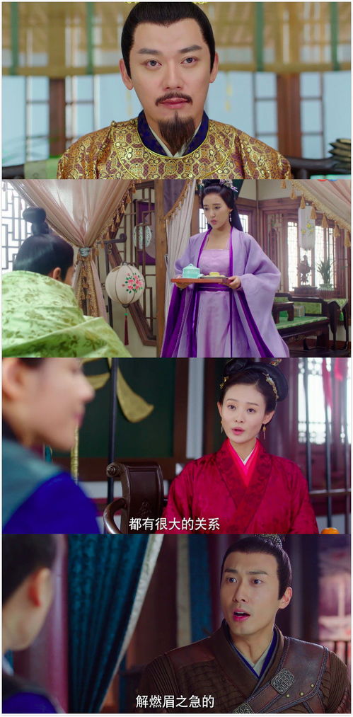 将军妃你不可短剧大结局 将军 你不能娶她 --第1张