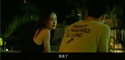 黑色荣耀之孤注一掷大结局在线观看--第1张