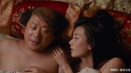 狼婿下山完整版--第1张