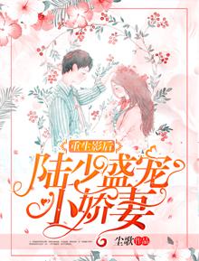  陆总的漫漫追妻路，陆少的霸爱小娇妻 --第1张