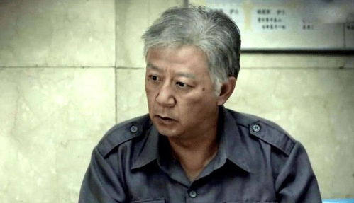 月是故乡明，月是故乡明短剧大结局演员表--第1张