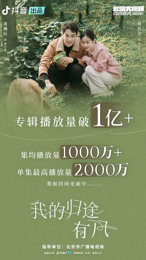 归巢短剧大结局，爱情终章--第1张