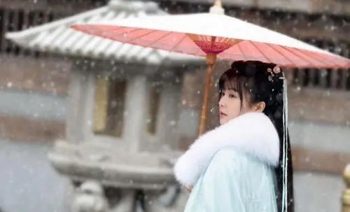 宫墙雪短剧大结局完整版 宫墙下雪 --第1张