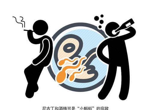 “陆少,夫人又把您拉黑了” 陆少虐错了夫人才是你的白月光短剧大结局完整版 --第1张