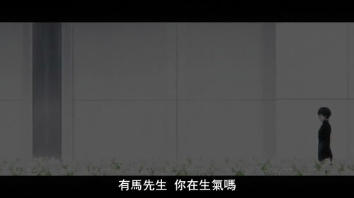 今夜不眠短剧大结局完整版免费观看 今夜不眠短剧大结局完整版 --第1张
