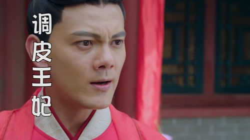 穿越古代当太子妃，抢太子大作战！--第1张