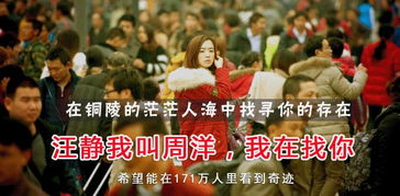 镇北王喜欢谁 新镇北王短剧大结局完整版 --第1张