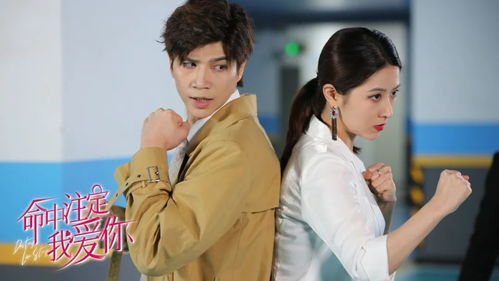 合约期间爱上她马秋元鹿单东短剧大结局完整版 合约期间爱上你演员表 --第1张