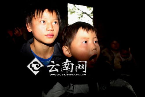 裴总夫人说她不需要两个老公短剧大结局完整版 裴爷,夫人是真病了! --第1张
