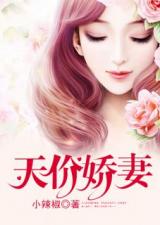 顾少的天价前妻，贬值结局版--第1张