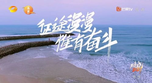 破晓时分短剧大结局完整版 破晓时分在线阅读 --第1张